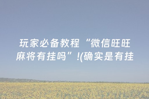 玩家必备教程“微信旺旺麻将有挂吗”!(确实是有挂)-抖音