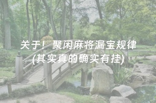 关于！聚闲麻将漏宝规律(其实真的确实有挂)