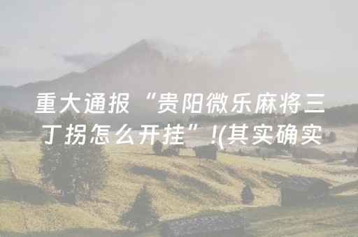 重大通报“贵阳微乐麻将三丁拐怎么开挂”!(其实确实有挂)-抖音