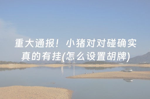 重大通报！小猪对对碰确实真的有挂(怎么设置胡牌)