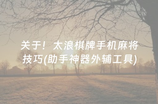 关于！太浪棋牌手机麻将技巧(助手神器外辅工具)