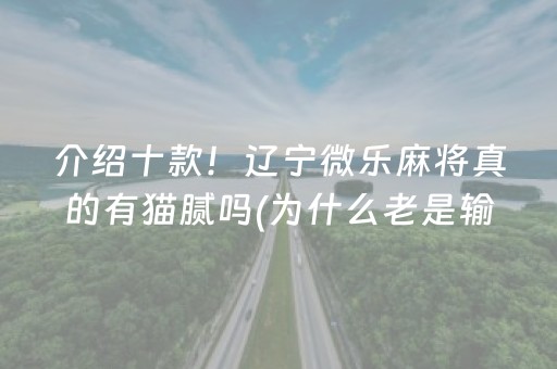 介绍十款！辽宁微乐麻将真的有猫腻吗(为什么老是输)