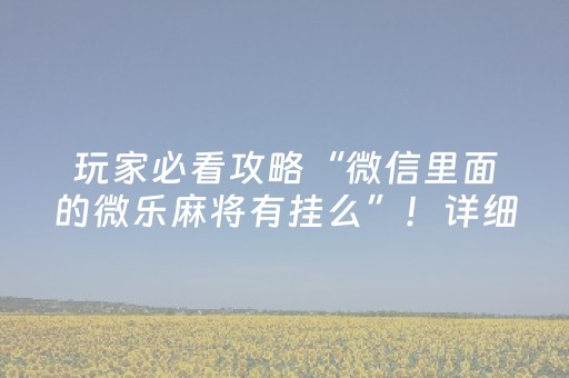玩家必看攻略“微信里面的微乐麻将有挂么”！详细开挂教程（确实真的有挂)-抖音