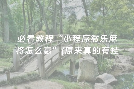 必看教程“小程序微乐麻将怎么赢”(原来真的有挂)-抖音