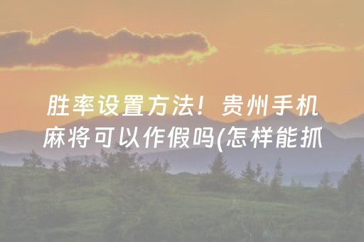 胜率设置方法！贵州手机麻将可以作假吗(怎样能抓到好牌)