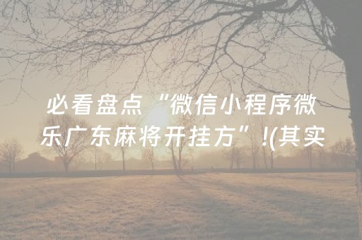 必看盘点“微信小程序微乐广东麻将开挂方”!(其实确实有挂)-抖音