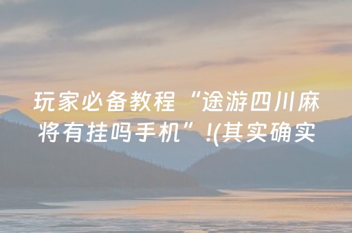 玩家必备教程“途游四川麻将有挂吗手机”!(其实确实有挂)-抖音
