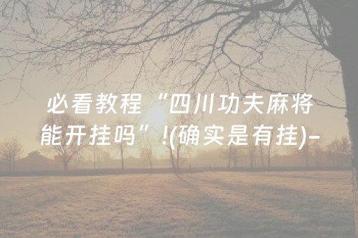 必看教程“四川功夫麻将能开挂吗”!(确实是有挂)-抖音