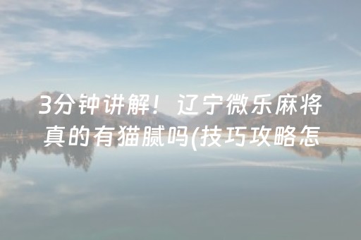 神器实力超凡!微乐宁夏麻将插件(为什么总是输)