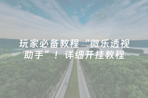 玩家必备教程“微乐透视助手”！详细开挂教程（确实真的有挂)-抖音