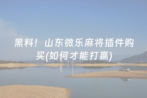 黑料！山东微乐麻将插件购买(如何才能打赢)