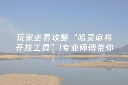 玩家必看攻略“哈灵麻将开挂工具”!专业师傅带你一起了解（详细教程）-抖音