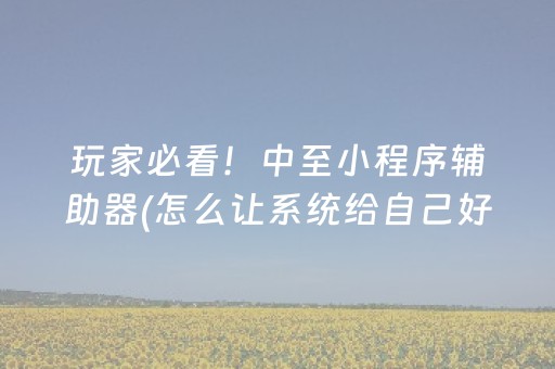 玩家必看！中至小程序辅助器(怎么让系统给自己好牌)