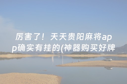 厉害了！天天贵阳麻将app确实有挂的(神器购买好牌规律)