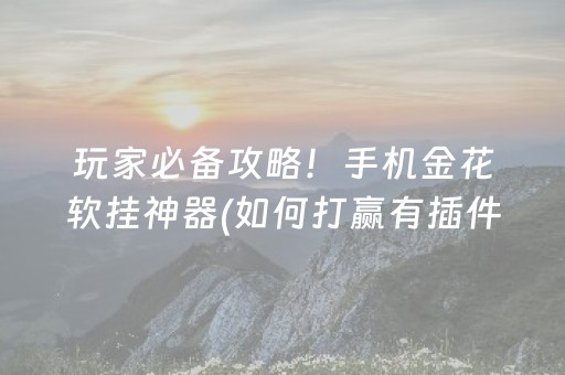 玩家必备攻略！手机金花软挂神器(如何打赢有插件吗)