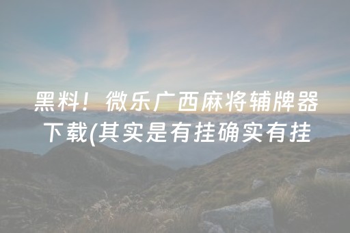 黑料！微乐广西麻将辅牌器下载(其实是有挂确实有挂)
