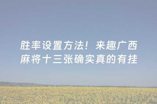 玩家必备教程“微乐江西棋牌有挂的吗”（详细透视教程）-哔哩哔哩