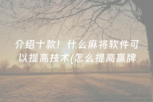 介绍十款！什么麻将软件可以提高技术(怎么提高赢牌率)