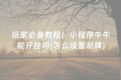 玩家必备教程！小程序牛牛能开挂吗(怎么设置胡牌)