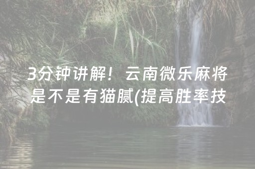 3分钟讲解！云南微乐麻将是不是有猫腻(提高胜率技巧)