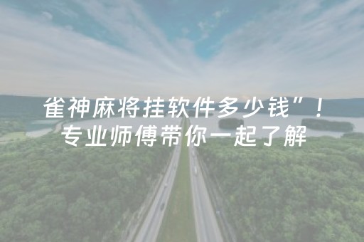 雀神麻将挂软件多少钱”!专业师傅带你一起了解（详细教程）-抖音