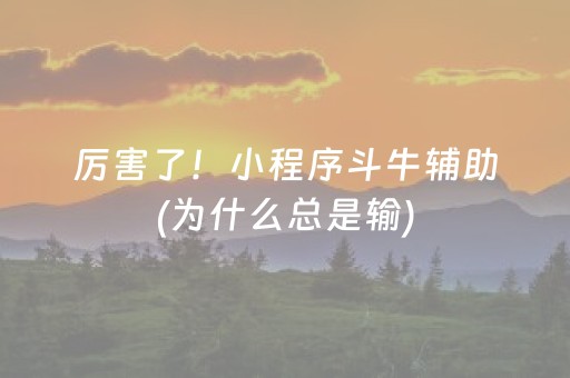 厉害了！小程序斗牛辅助(为什么总是输)