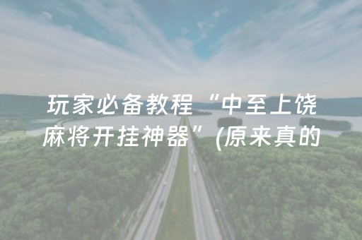 终于发现了“微乐天津麻将挂件神器”（详细透视教程）-哔哩哔哩