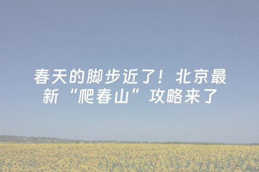 日本自由行攻略详细（日本自由行旅游攻略）