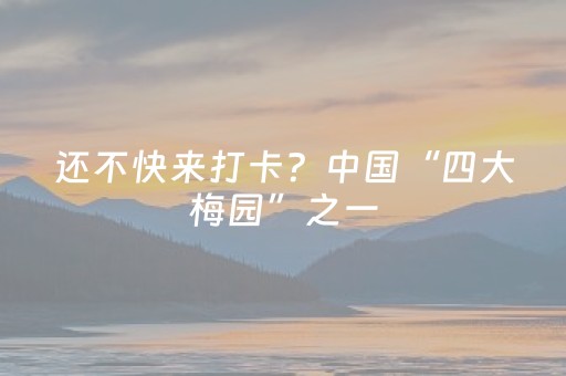 分享辅助“普通自动麻将机输赢规律（助赢神器通用版）