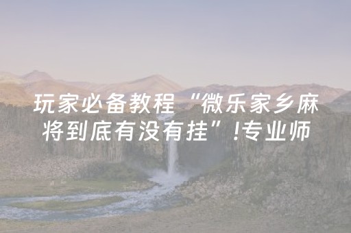 实测分享“微乐插件下载（助赢神器通用版）