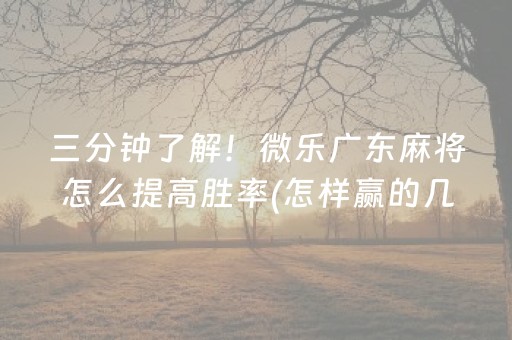 三分钟了解！微乐广东麻将怎么提高胜率(怎样赢的几率大)