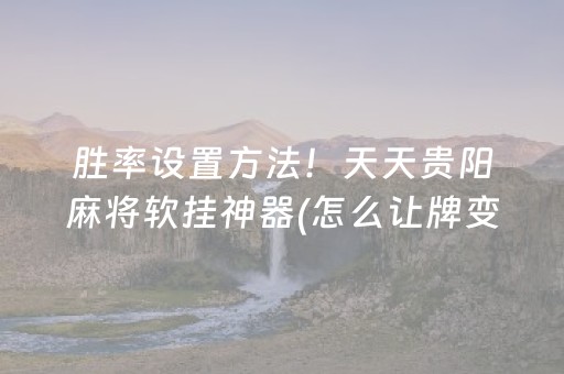 胜率设置方法！天天贵阳麻将软挂神器(怎么让牌变好)