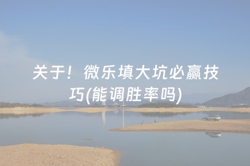 关于！微乐填大坑必赢技巧(能调胜率吗)