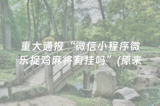 实测辅助“闲聊红包王有没有作弊器”（详细透视教程）-哔哩哔哩