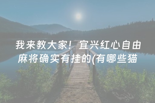 玩家实测“陌陌扫雷软件靠谱么”（详细透视教程）-哔哩哔哩