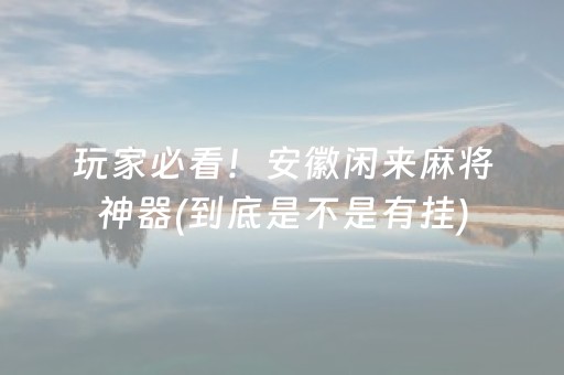 玩家必看！安徽闲来麻将神器(到底是不是有挂)