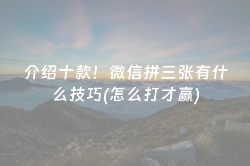 分享辅助“微信微乐麻将控牌器（助赢神器通用版）