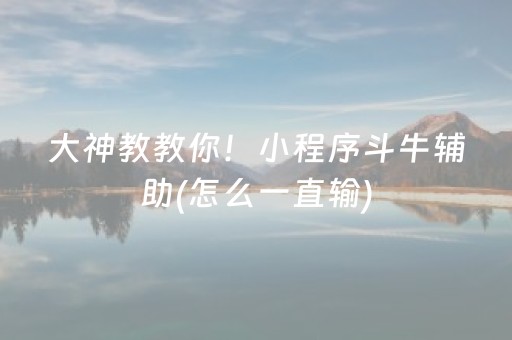 大神教教你！小程序斗牛辅助(怎么一直输)