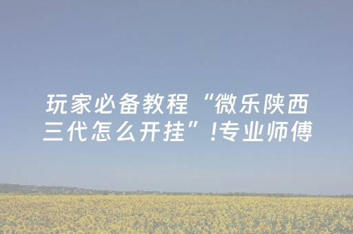 玩家必备教程“微乐陕西三代怎么开挂”!专业师傅带你一起了解（详细教程）-抖音