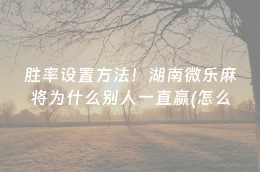 胜率设置方法！湖南微乐麻将为什么别人一直赢(怎么赢的几率大)