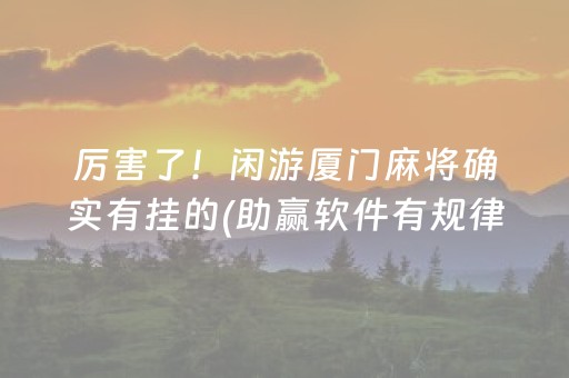 厉害了！闲游厦门麻将确实有挂的(助赢软件有规律吗)