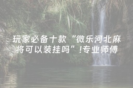 玩家必备十款“微乐河北麻将可以装挂吗”!专业师傅带你一起了解（详细教程）-抖音