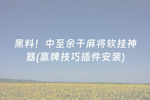 黑料！中至余干麻将软挂神器(赢牌技巧插件安装)