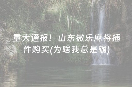 重大通报！山东微乐麻将插件购买(为啥我总是输)