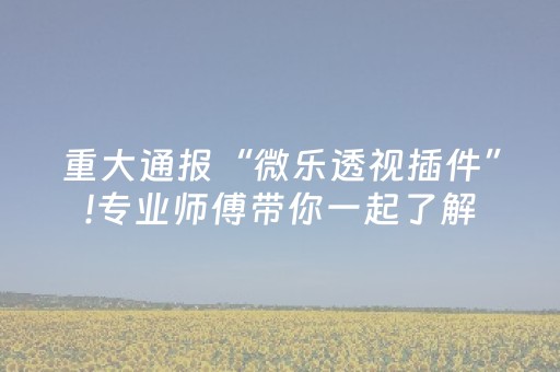 重大通报“微乐透视插件”!专业师傅带你一起了解（详细教程）-抖音