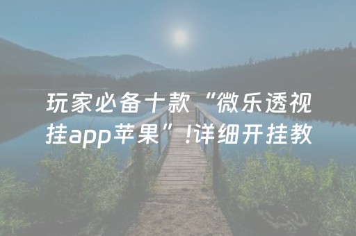 玩家必备十款“微乐透视挂app苹果”!详细开挂教程-抖音
