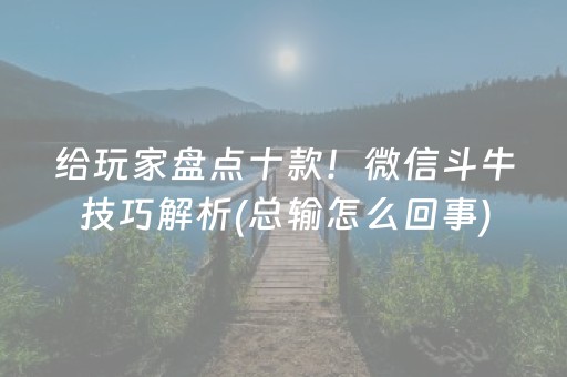 玩家必备教程“麻将程序控牌器免安装（助赢神器通用版）