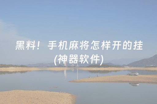 终于发现了“微乐陕西麻将控牌器（专用辅牌神器免安装）