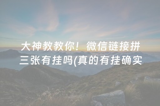 教程辅助“胡乐白银麻将有挂吗”（详细透视教程）-哔哩哔哩