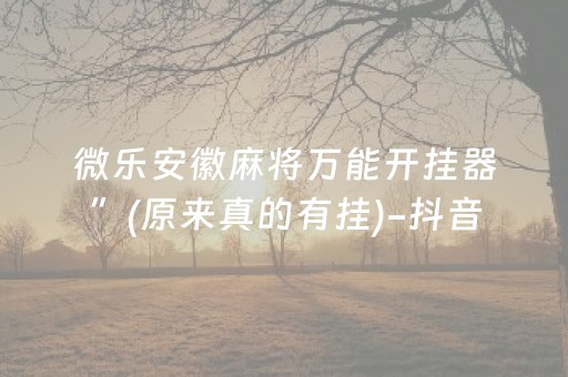 微乐安徽麻将万能开挂器”(原来真的有挂)-抖音